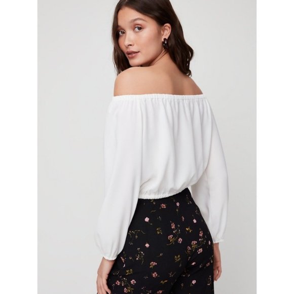 Aritzia Tops - ARITZIA - Wilfred Eleanora Blouse in Botany